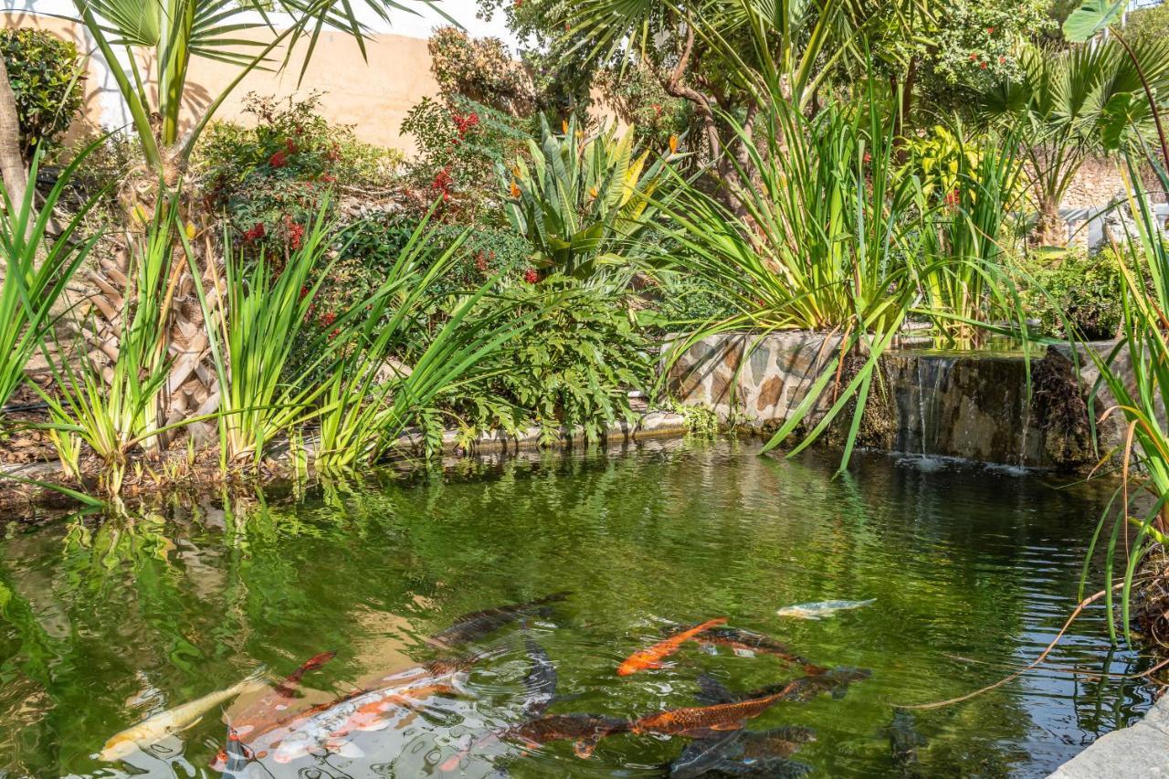 Casablanca 35 Oasis Lägenhet